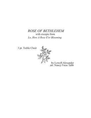 Rose Of Bethlehem