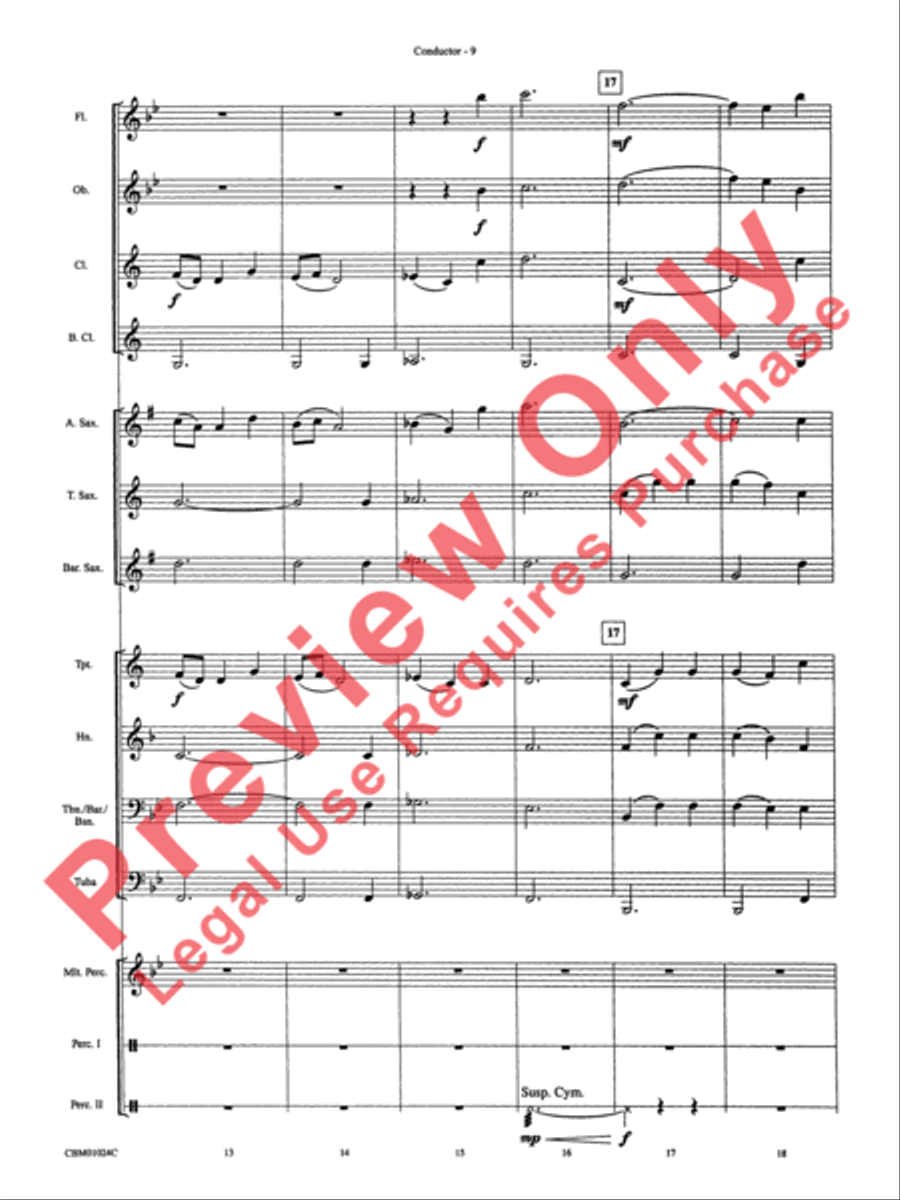 Harry's Wondrous World & Hedwig's Theme (Themes) Concert Band scores gallery preview page 12