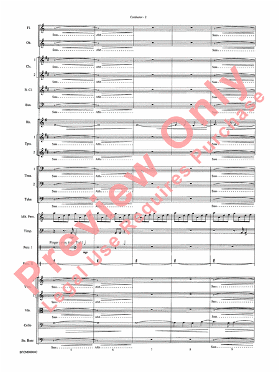 Rites of Tamburo Full Orchestra scores gallery preview page 5