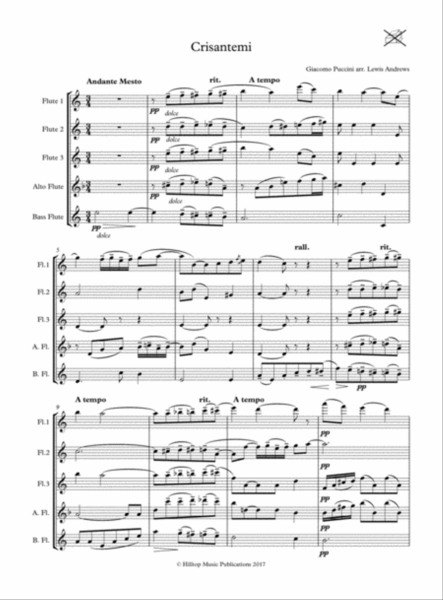 Crisantemi Crisantemi Woodwind Quintet scores gallery preview page 2