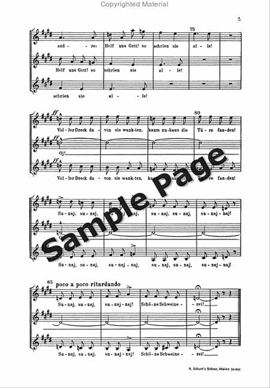Spottlied Mens/womens Chorus Women's Choir scores gallery preview page 6