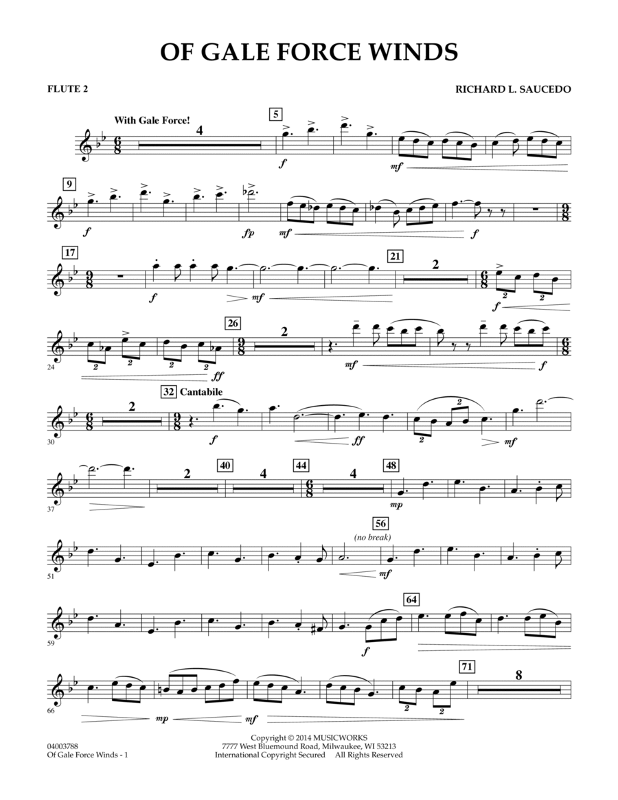 Of Gale Force Winds - Flute 2 Concert Band scores gallery preview page 1