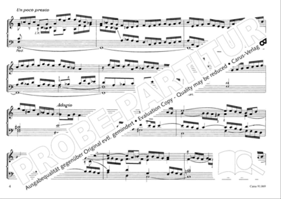 Musikalischer Blumenstrauss Organ Solo scores gallery preview page 7
