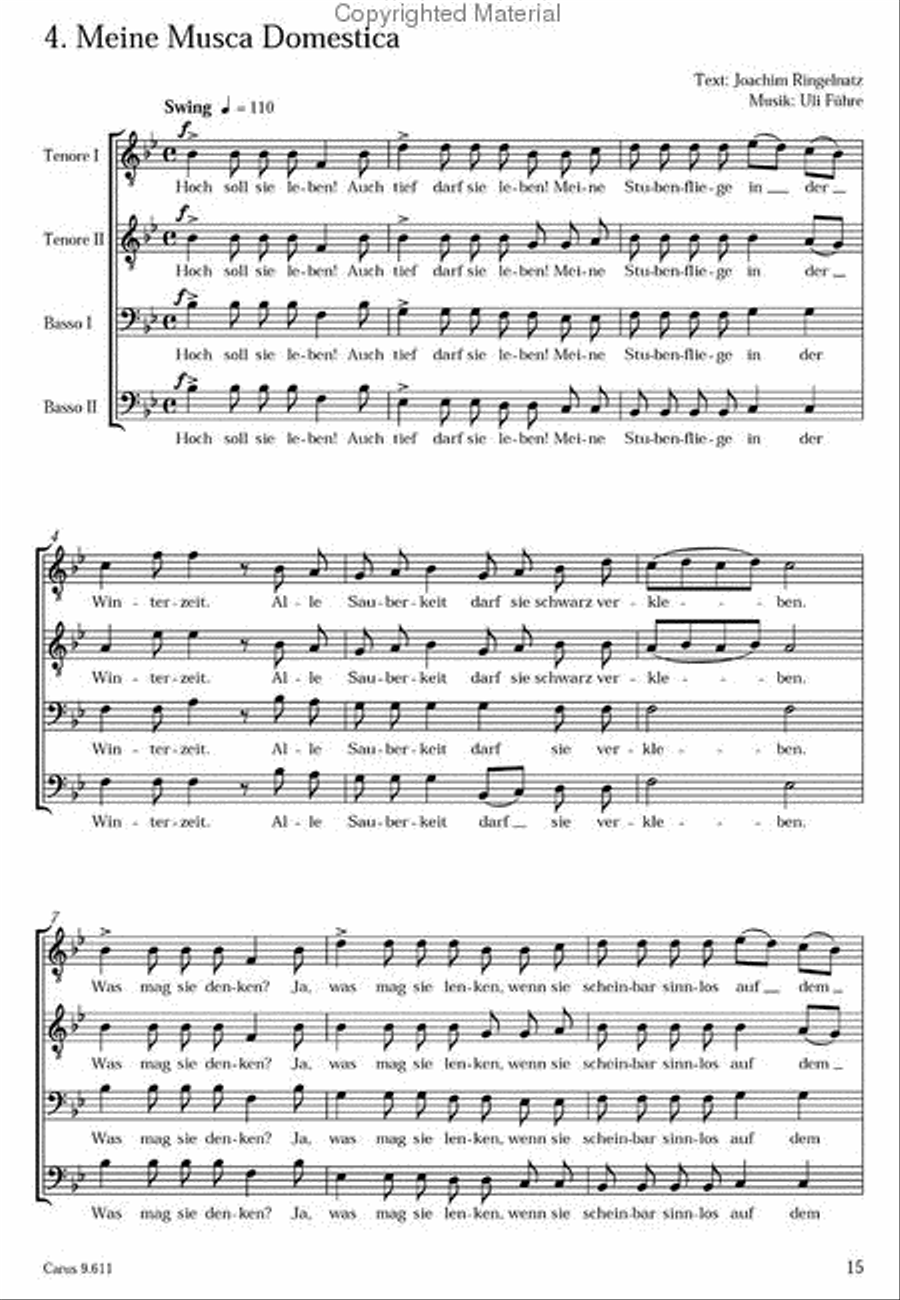 Der Manner-Boogie-Blues Der Manner-Boogie-Blues Collection / Songbook scores gallery preview page 5