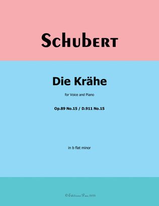 Book cover for Die Krähe, by Schubert, in b flat minor