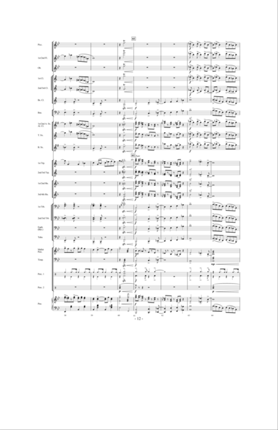 Promising Skies Concert Band scores gallery preview page 11