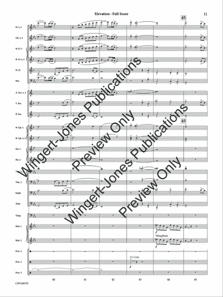 Elevation (Score) Concert Band scores gallery preview page 12