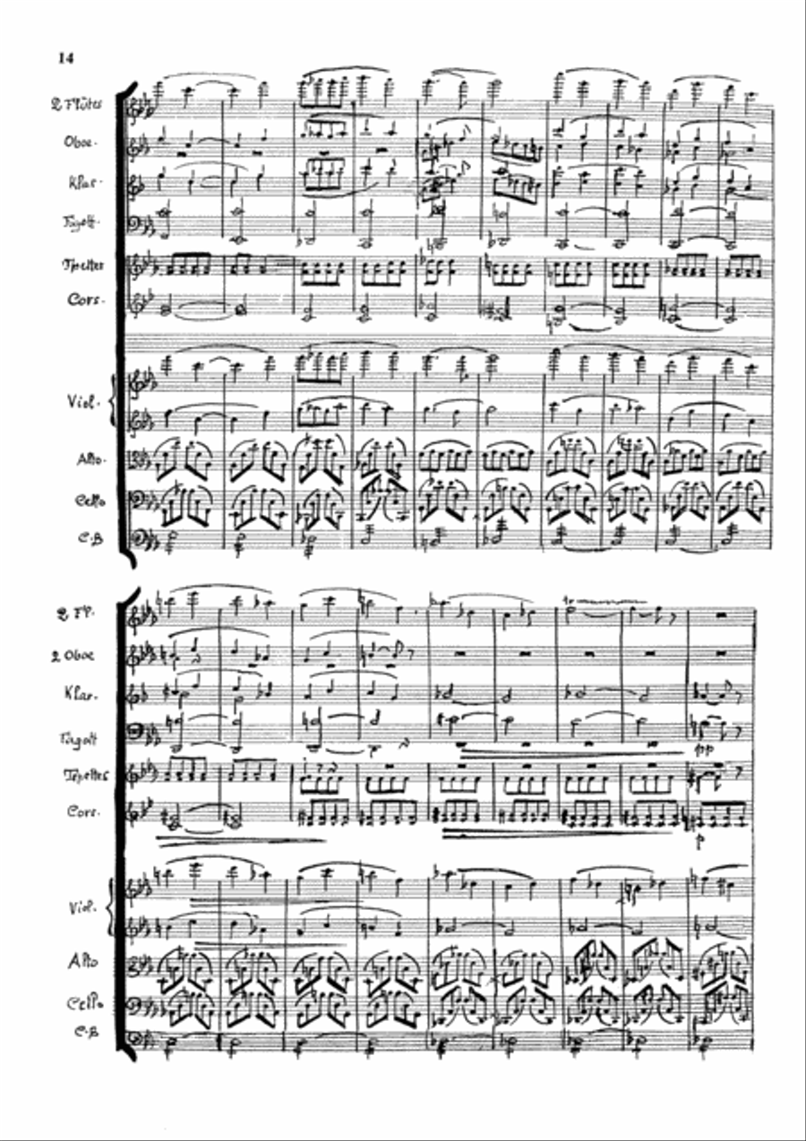 3. Alphorn Concerto Orchestra scores gallery preview page 14