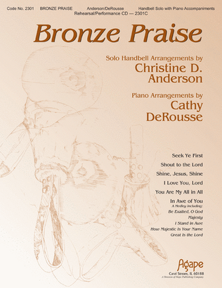 Book cover for Bronze Praise