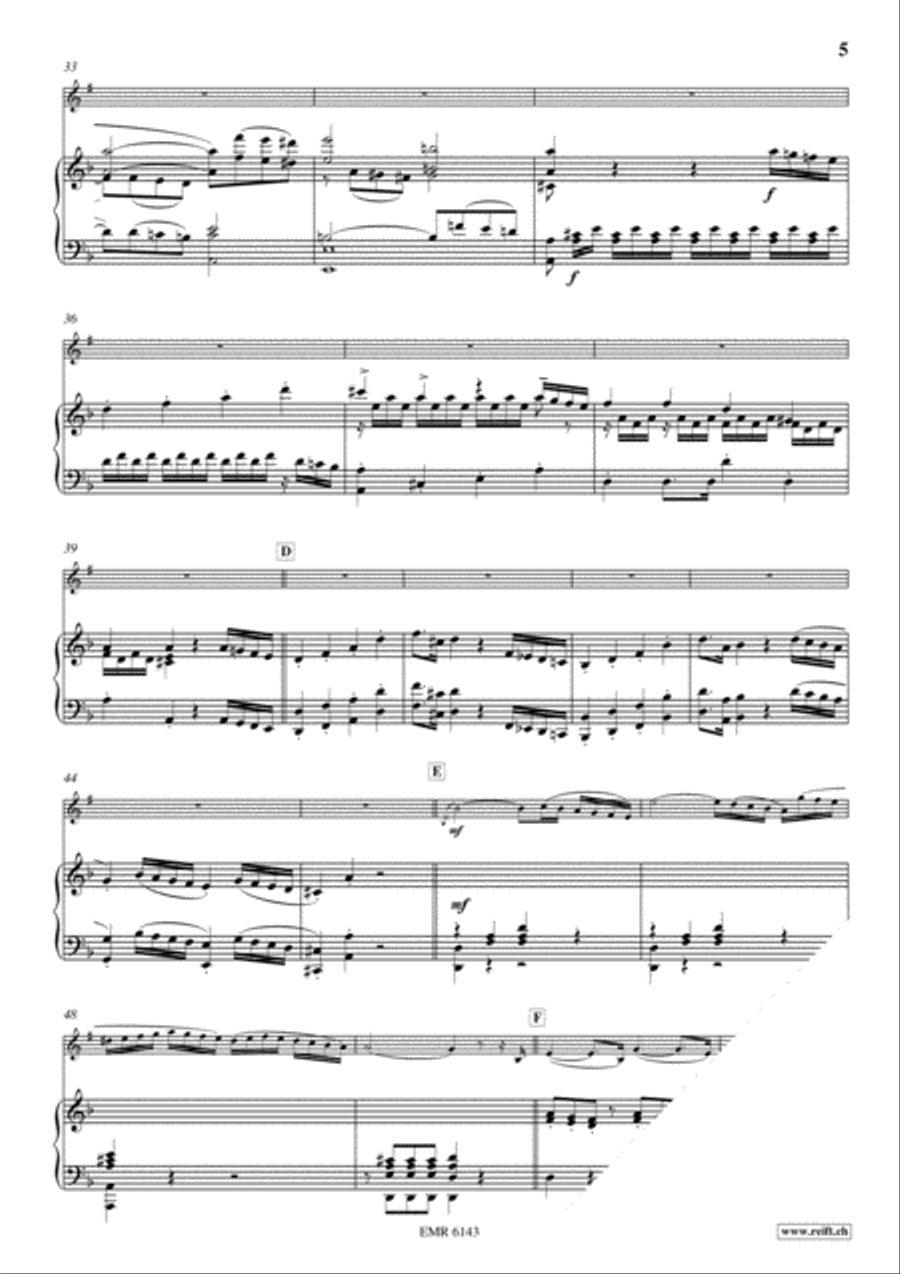 Concerto in D Minor Cornet scores gallery preview page 6