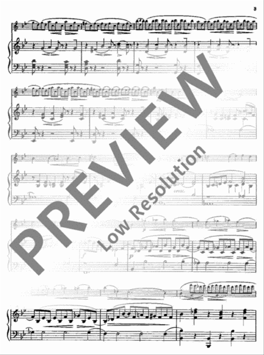Chaconne Chaconne Violin Solo scores gallery preview page 4
