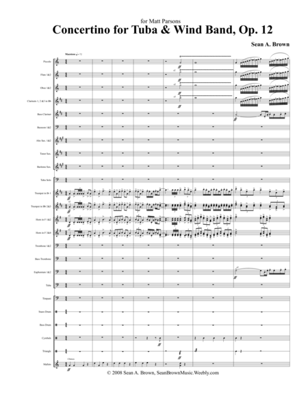 Concertino for Tuba & Wind Band, Op. 12 image number null