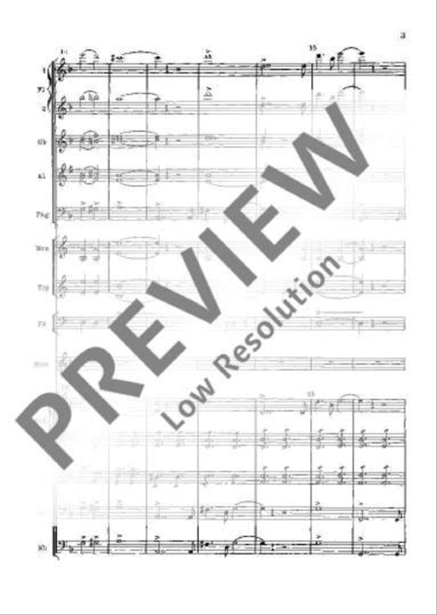 Concerto D Minor Orchestra scores gallery preview page 8