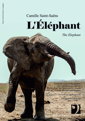 L'Éléphant (The Elephant) - for Double Bass solo and orchestra