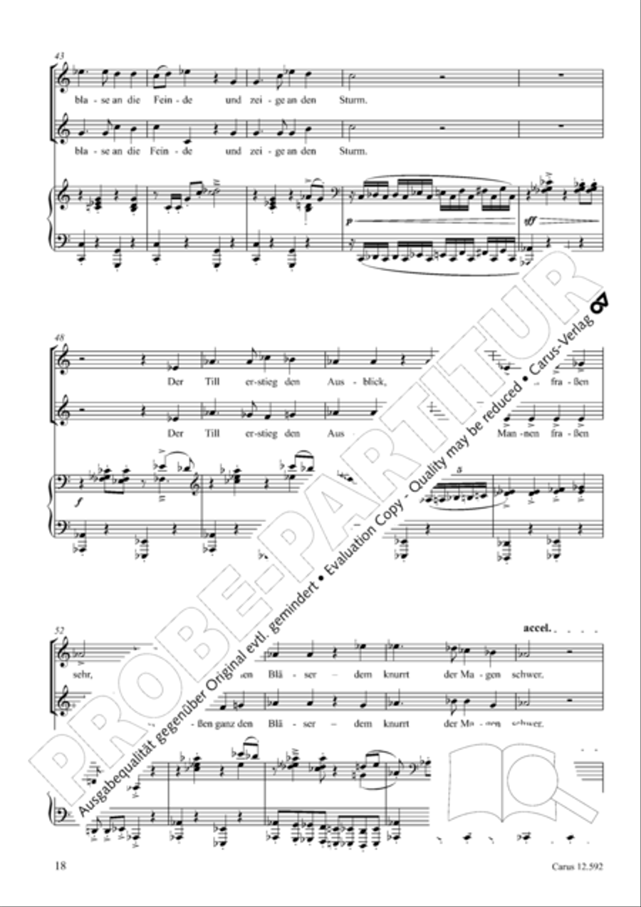 Eulenspiegeleien op. 146. Drei Eulenspiegelszenen Collection / Songbook scores gallery preview page 19