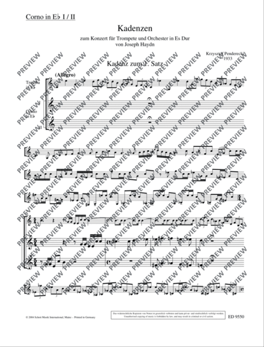 Cadenzas Cadenzas Solo Part scores gallery preview page 13
