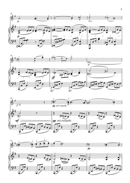 Chopin: Nocturne in e minor op.72 for violin and piano 