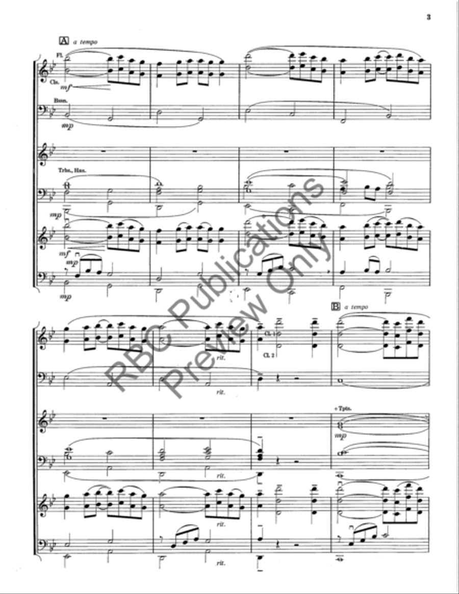 Pavane (Score) Full Orchestra scores gallery preview page 4