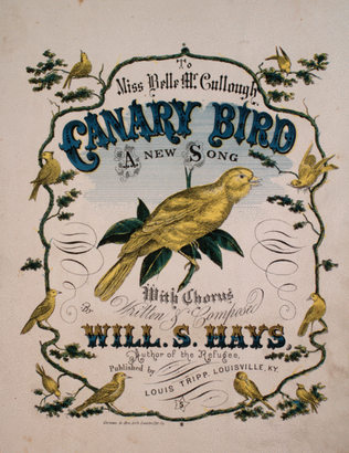 Canary Bird. A New Song With Chorus