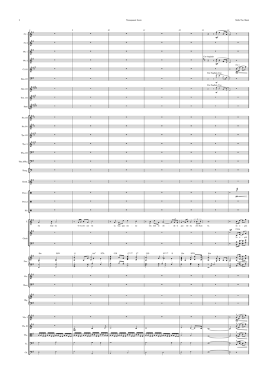 Nelle Tue Mani Full Orchestra scores gallery preview page 2