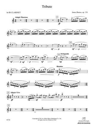 Tribute: 1st B-flat Clarinet
