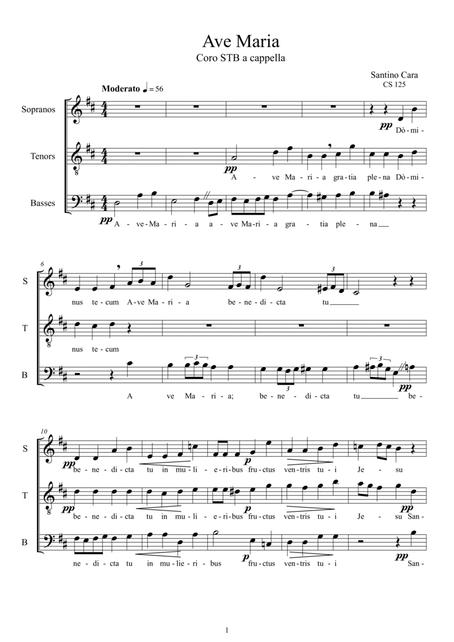 Book cover for Ave Maria - Choir STB a cappella