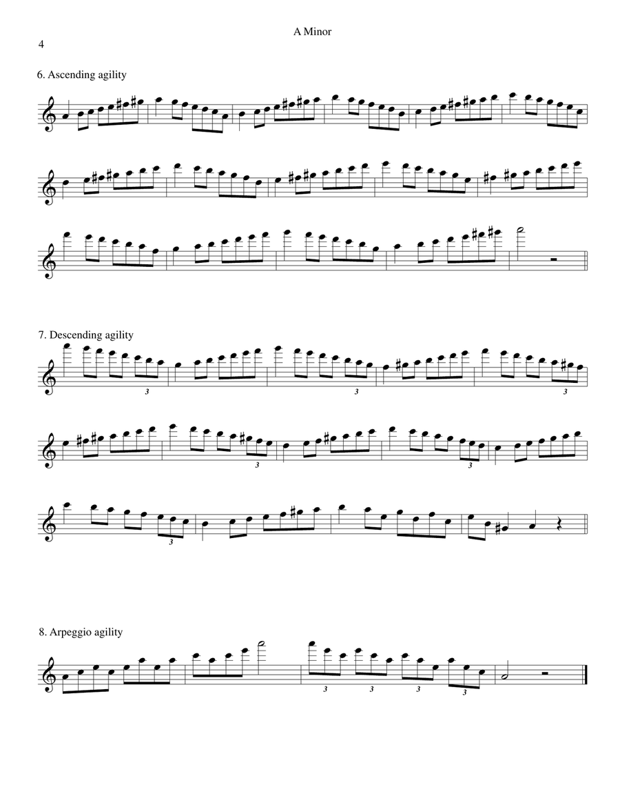Chromatic scale store flute