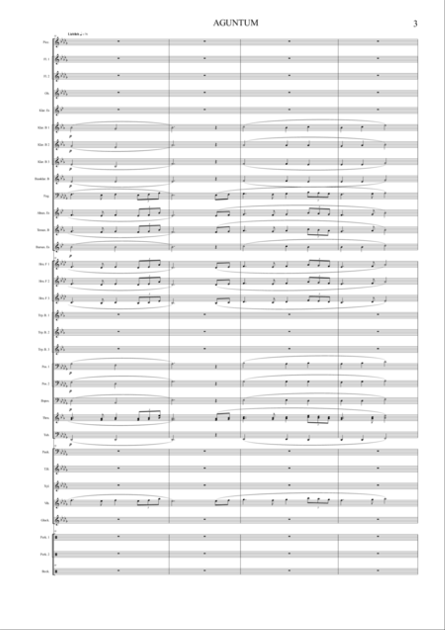 AGUNTUM - Score Only AGUNTUM - Score Only Concert Band scores gallery preview page 3