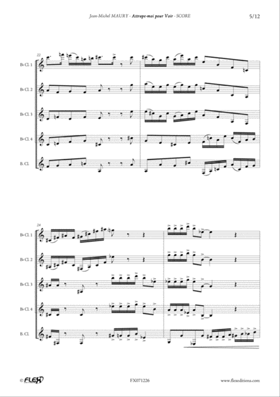 Attrape-moi pour Voir Clarinet Quintet scores gallery preview page 5