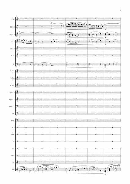Concerto for solo Percussionist and Woodwind orchestra) - Full score and parts