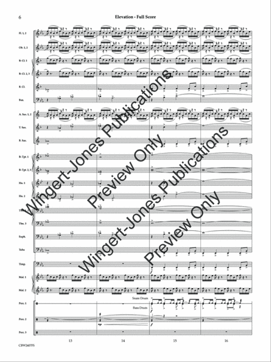 Elevation (Score) Concert Band scores gallery preview page 7