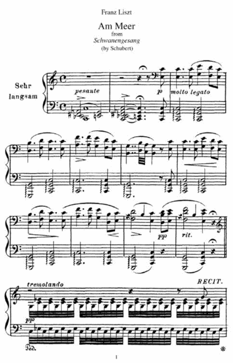 Franz Liszt - Am Meer from Schwanengesang (by Schubert)