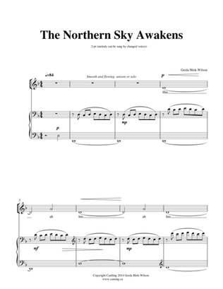 Book cover for The Northern Sky Awakens