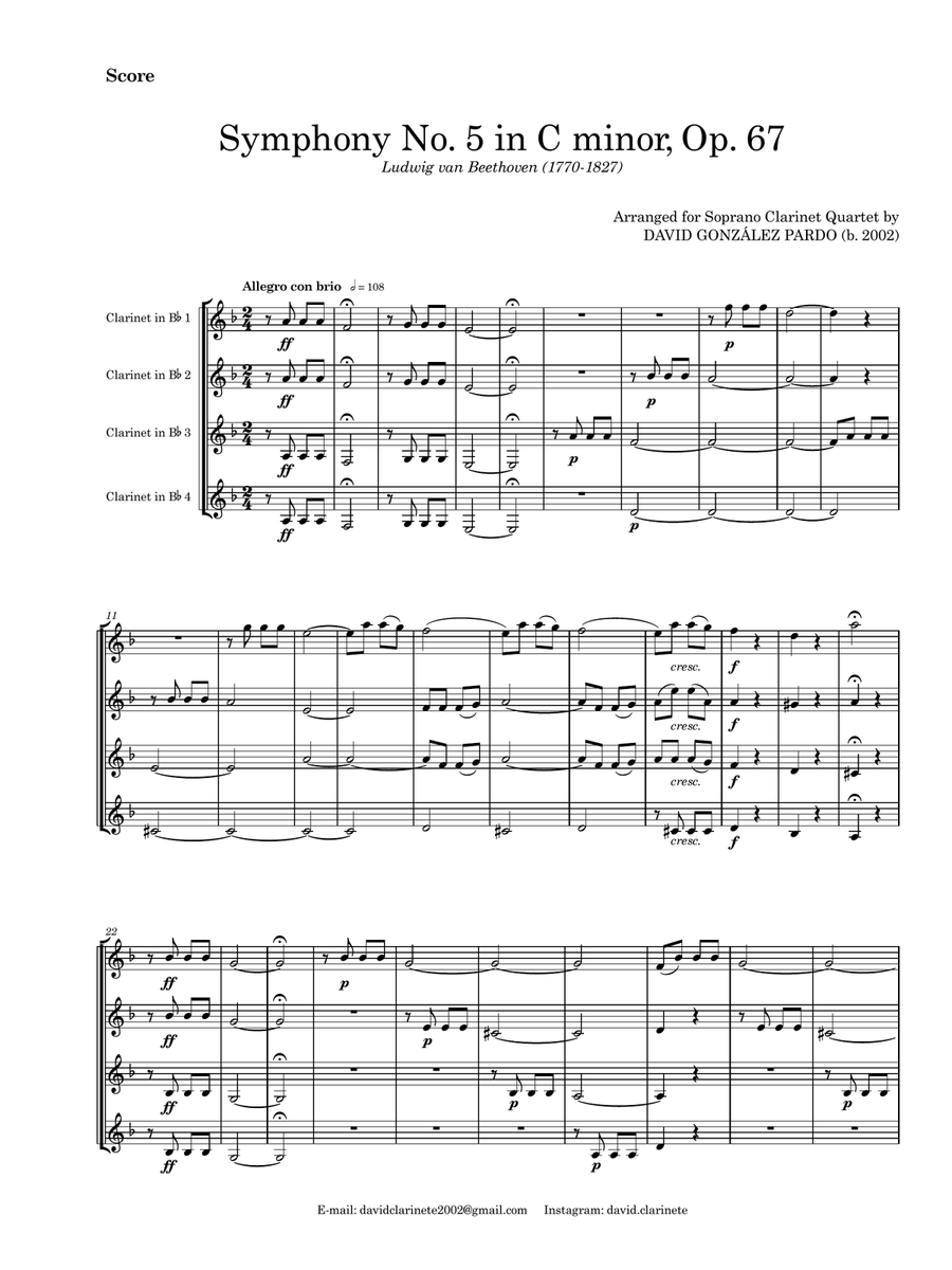 Symphony No. 5 in C minor, Op. 67 (First movement) Chamber Music scores gallery preview page 1