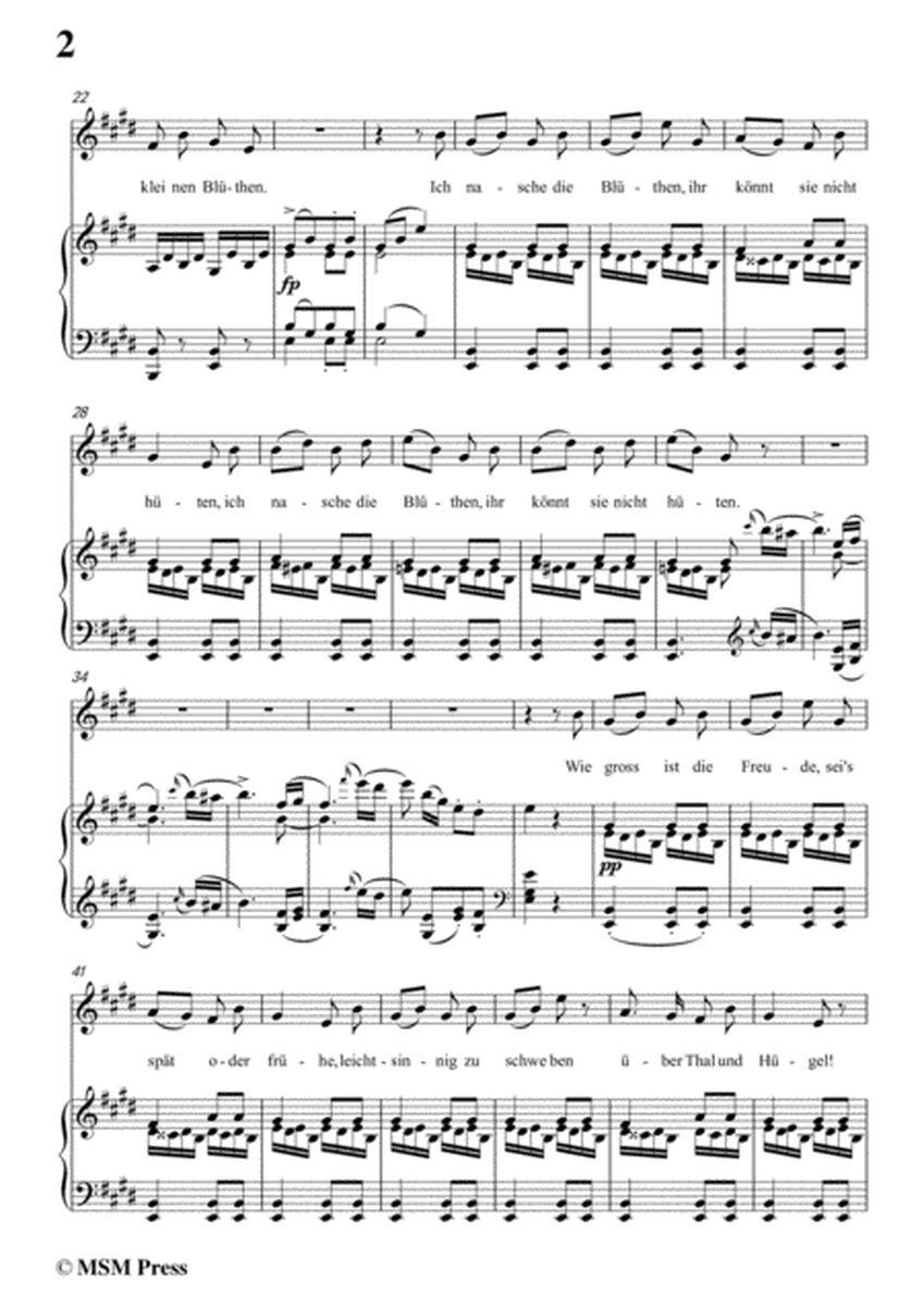Schubert-Der Schmetterling,Op.57 No.1,in E Major,for Voice&Piano image number null