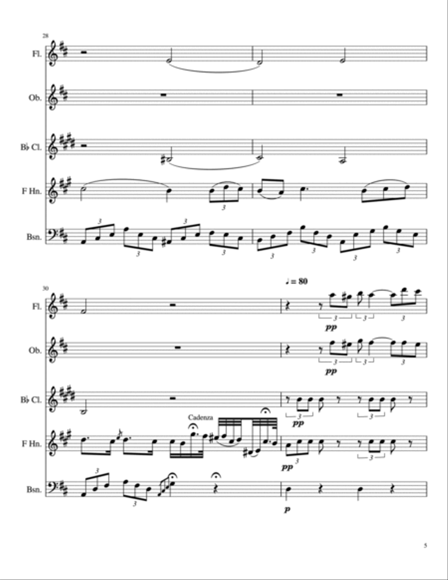 Poet and Peasant Overture Woodwind Quintet scores gallery preview page 5