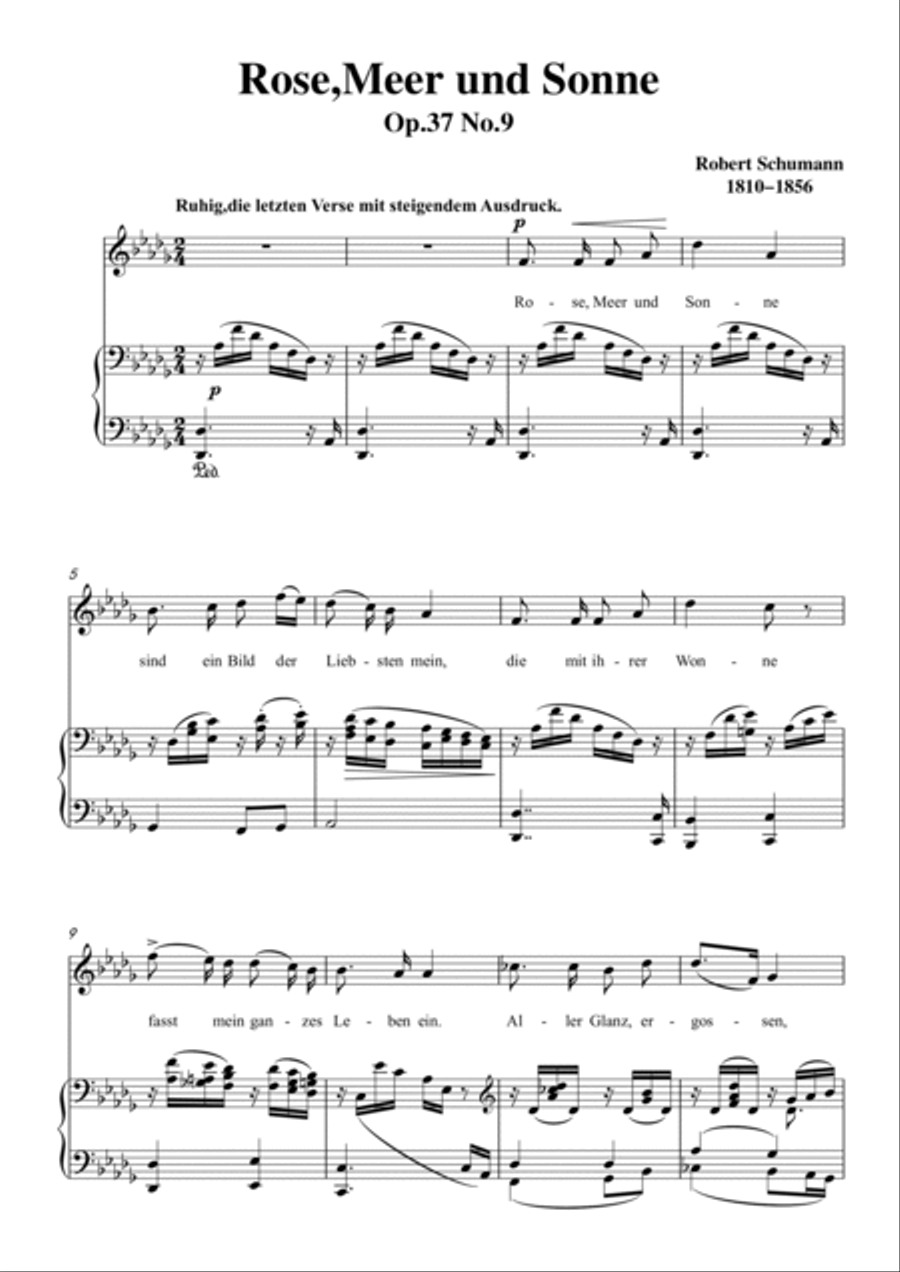 Schumann-Rose,Meer und Sonne in D♭ Major for Voice and Piano Voice Solo scores gallery preview page 2