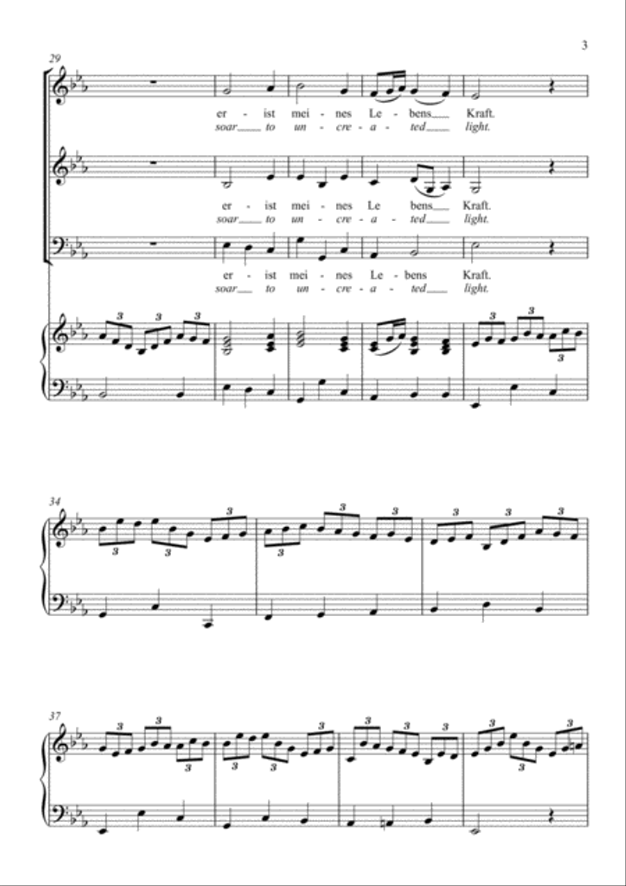 Johann Sebastian Bach - Jesus joy of man's desiring (SAB old singers Choir, Amateur) 3-Part scores gallery preview page 3