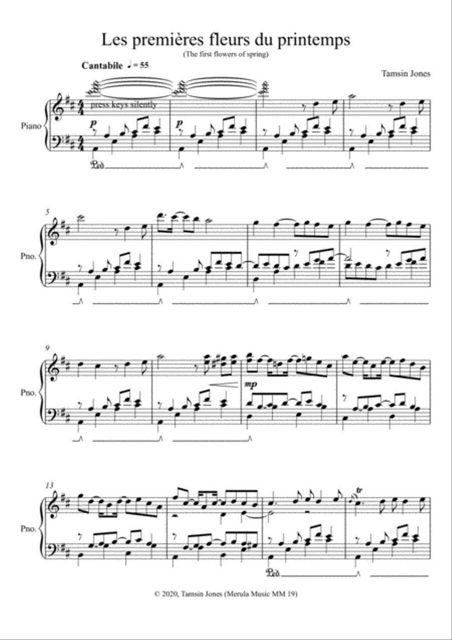Scènes des quatre saisons Piano Solo scores gallery preview page 3