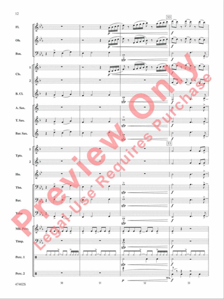 Rhythmicity Rhythmicity Concert Band scores gallery preview page 13