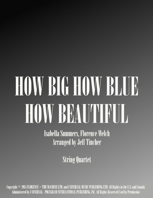 Book cover for How Big, How Blue, How Beautiful
