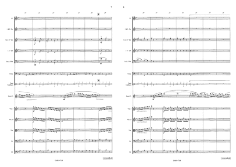 Concertino Orchestra scores gallery preview page 6