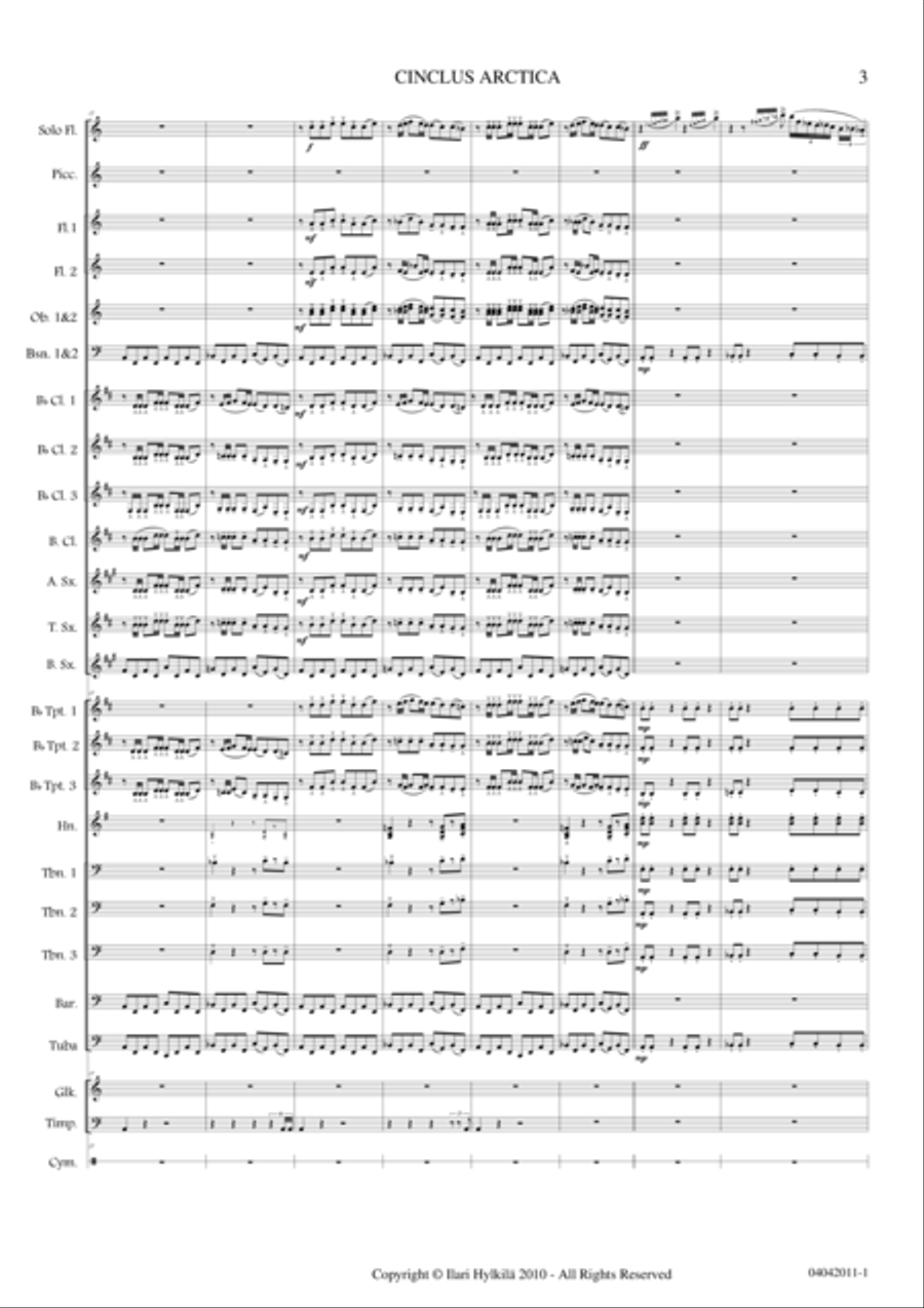 Cinclus Arctica (for Solo Flute and Concert Band) Concert Band scores gallery preview page 3