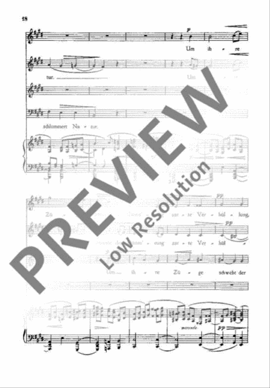 Drei Chöre 4-Part scores gallery preview page 21