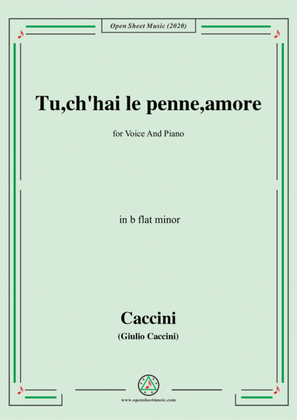 Book cover for Caccini-Tu,ch'hai le penne,amore,in b flat minor,for Voice and Piano