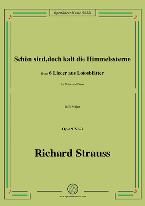 Book cover for Richard Strauss-Schön sind,doch kalt die Himmelssterne,in B Major
