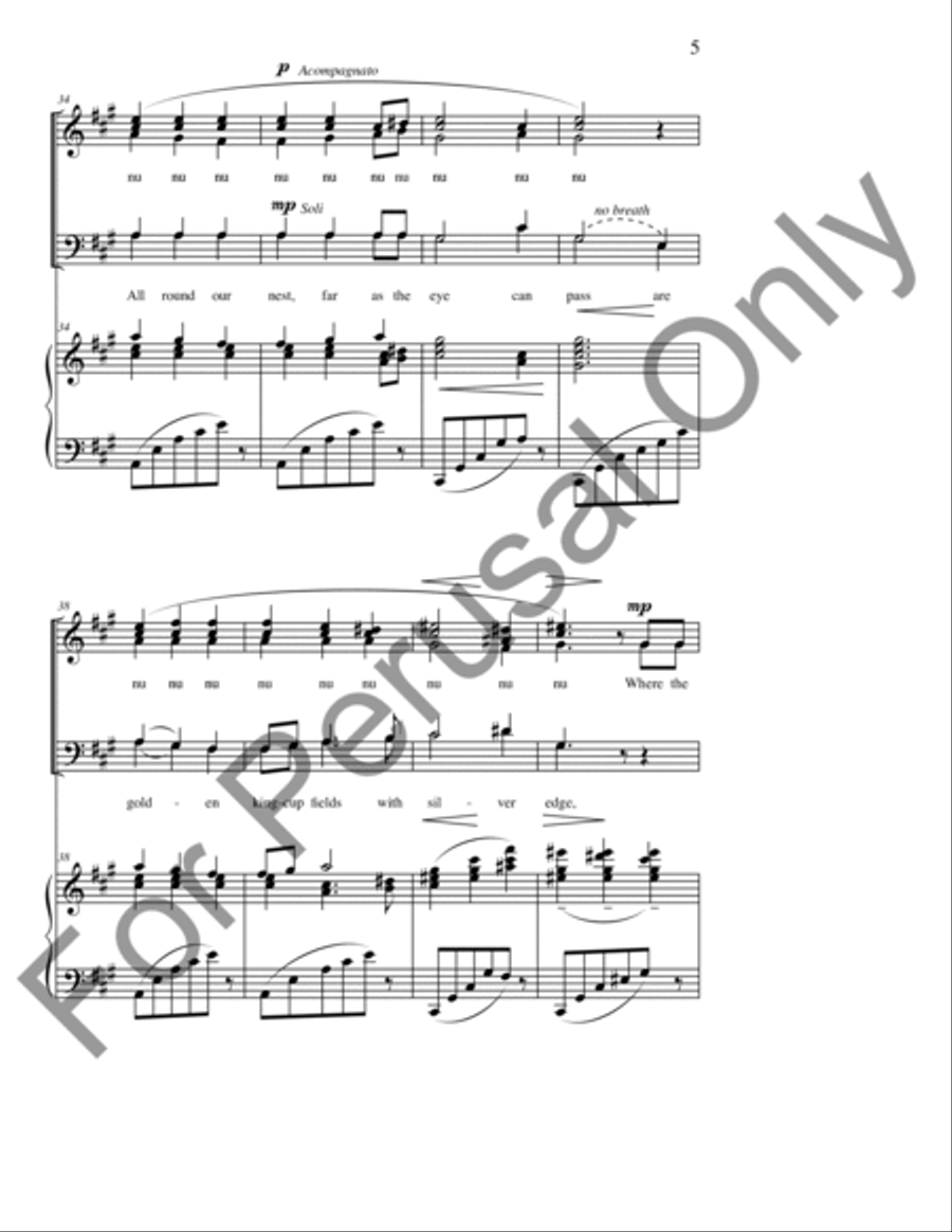 Silent Noon 4-Part scores gallery preview page 6