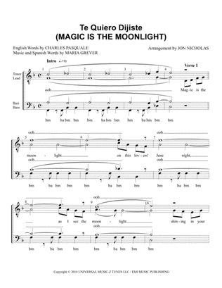 Magic Is The Moonlight