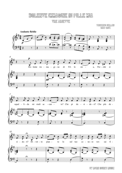 Bellini-Dolente immagine di Fille mia in e minor，for voice and piano image number null