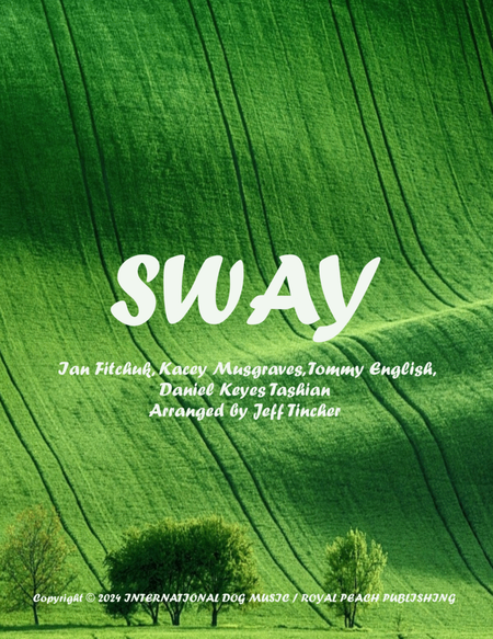 Sway image number null